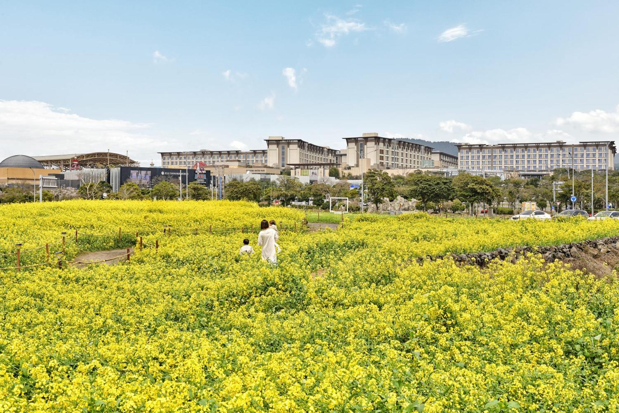 ランディング チェジュ シンワ ワールド ホテル 済州市 エクステリア 写真